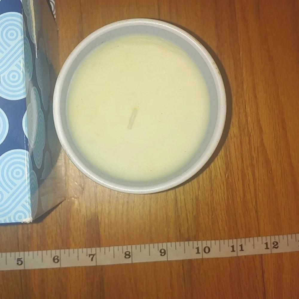 Fleur de Sel scented candle Jonathan Adler